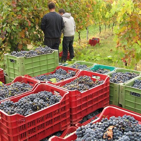 Podere Riosto Cantina&Agriturismo Pianoro Exteriör bild