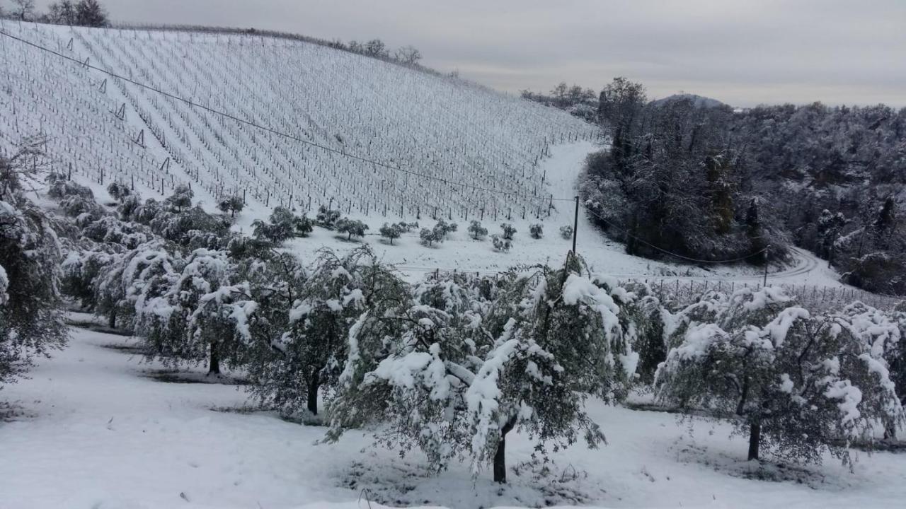 Podere Riosto Cantina&Agriturismo Pianoro Exteriör bild