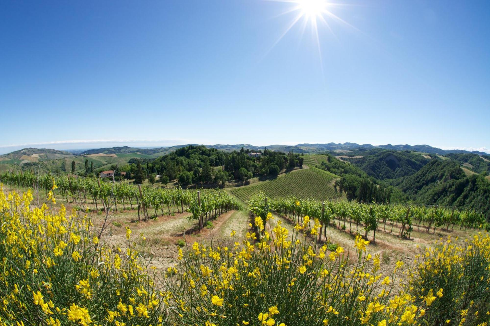 Podere Riosto Cantina&Agriturismo Pianoro Exteriör bild