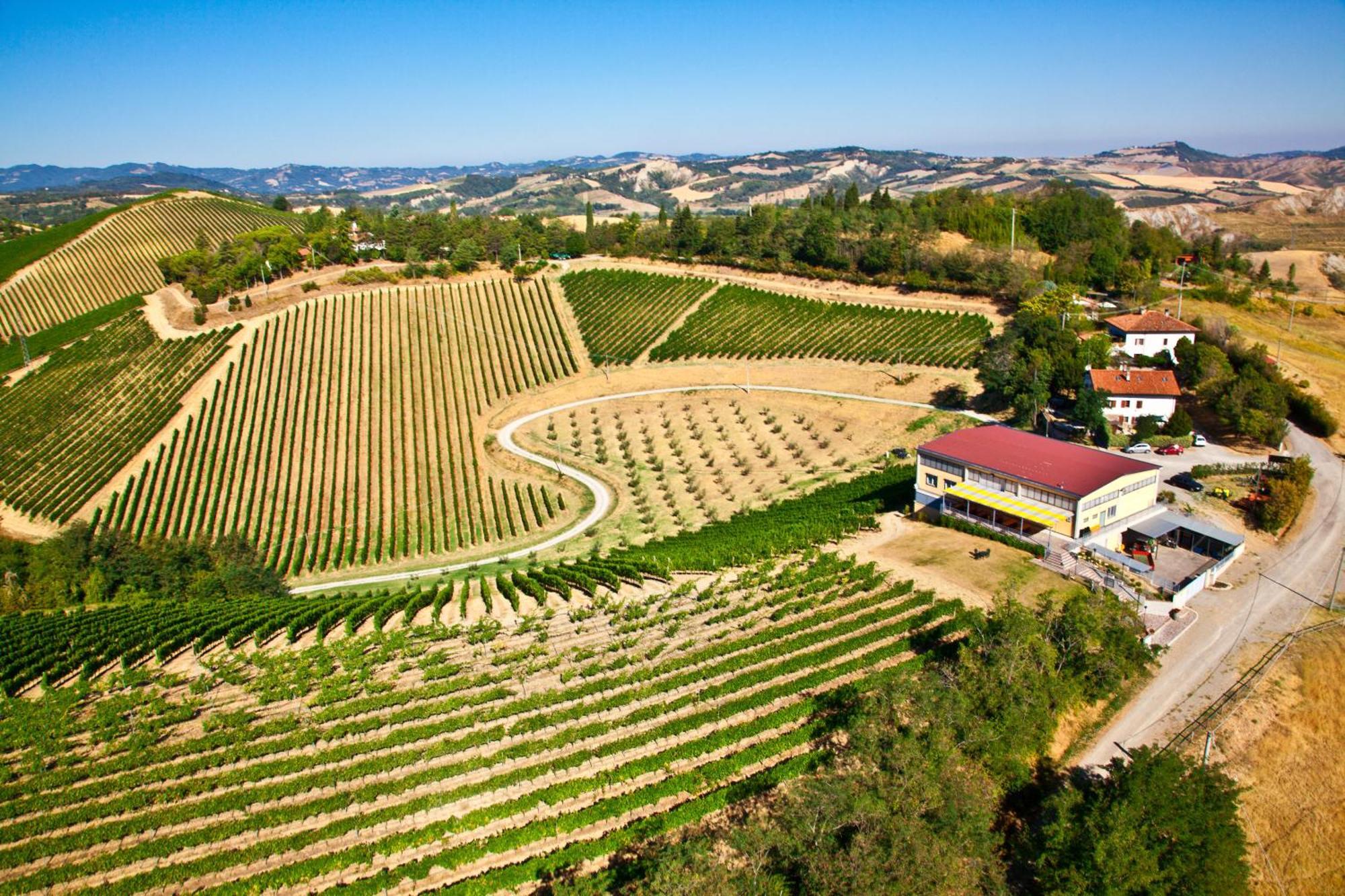 Podere Riosto Cantina&Agriturismo Pianoro Exteriör bild